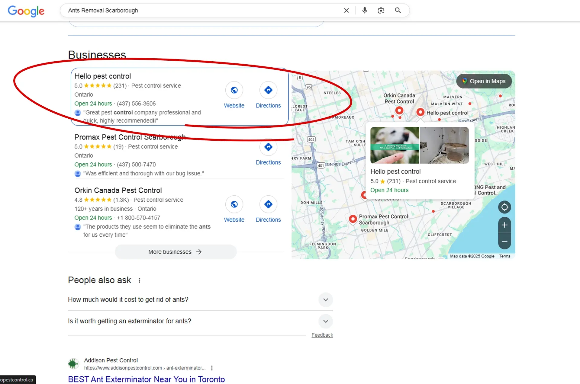 Hello Pest Control Strengthened Keyword Rankings