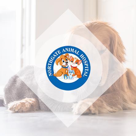 Northgate Animal Hospital